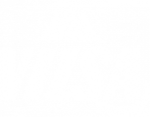Vilsa